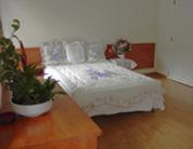 Hotel Leon D'Or Bellinzona Room photo